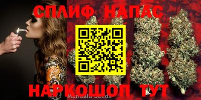 крисы Кунгур