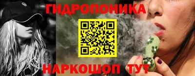 прущие крисы Кулебаки
