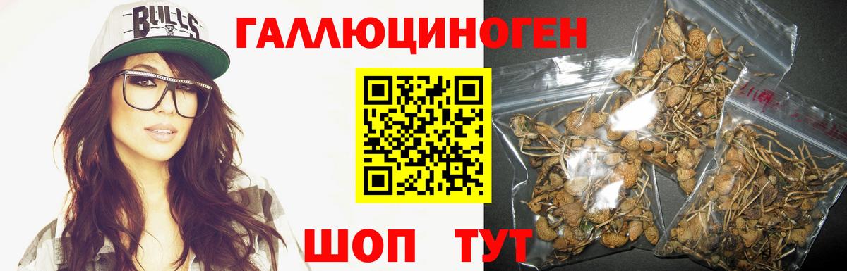 Фурманов  Галлюциногенные грибы мицелий  Вход с VPN  Псилоцибиновые грибы мицелий 